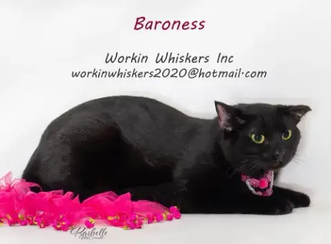 Baroness