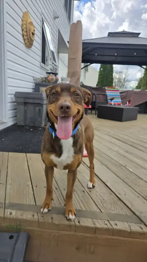 Penny Scas photo 3