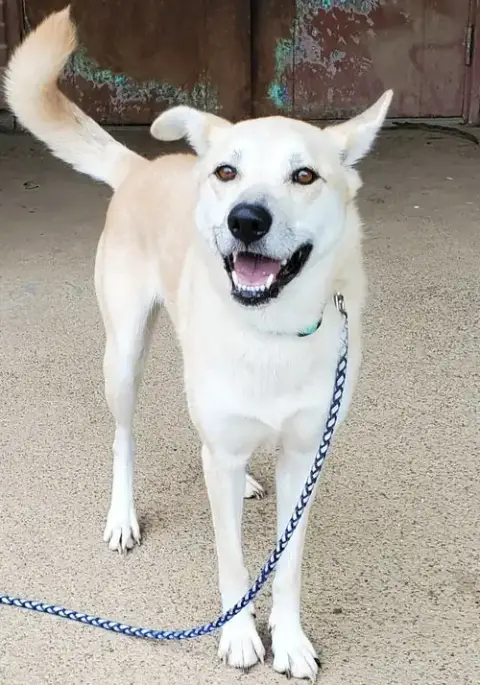 Luna photo 2