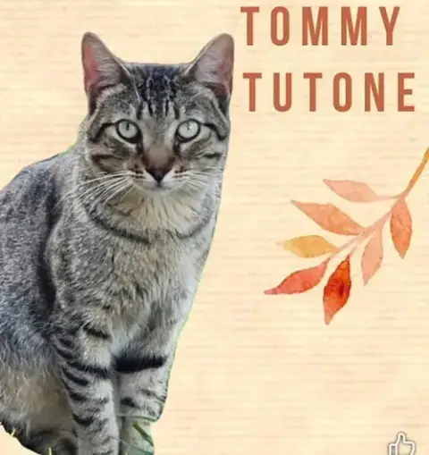 Tommy Tutone