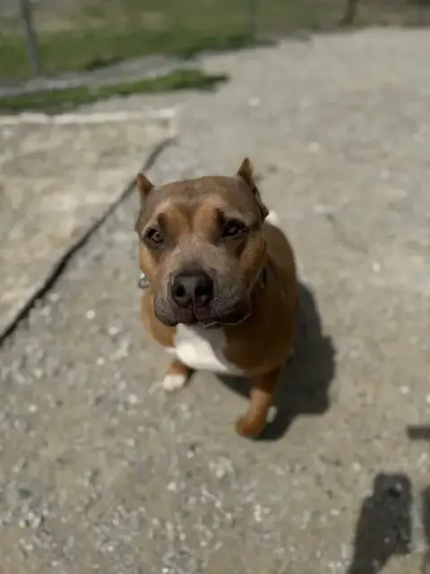 Beckham Cooper photo 3