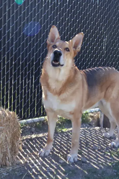 Max photo 4