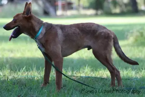 Tuck photo 3