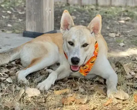 Mercury photo 4