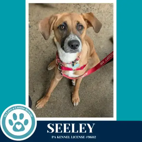 Seeley photo 4