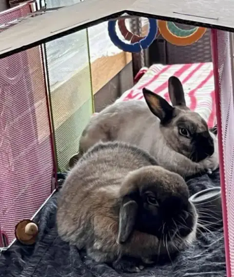 Marshy  *Bonded To Charlotte* photo 2