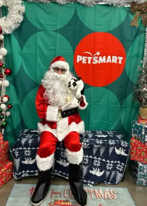 Reggie photo 4