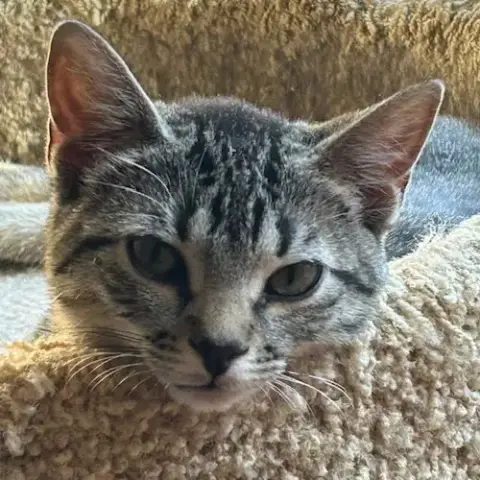 Yubaba photo 2