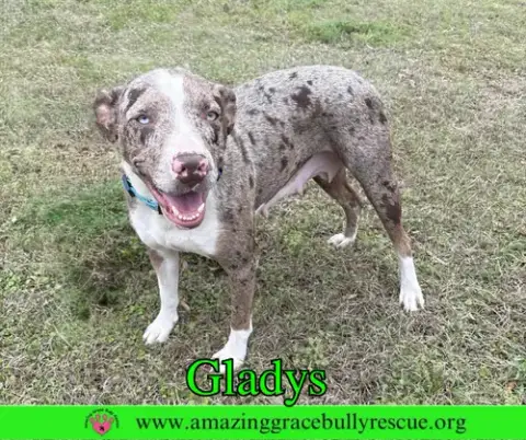 Gladys photo 2