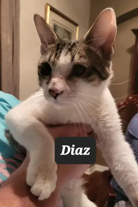 Diaz photo 2
