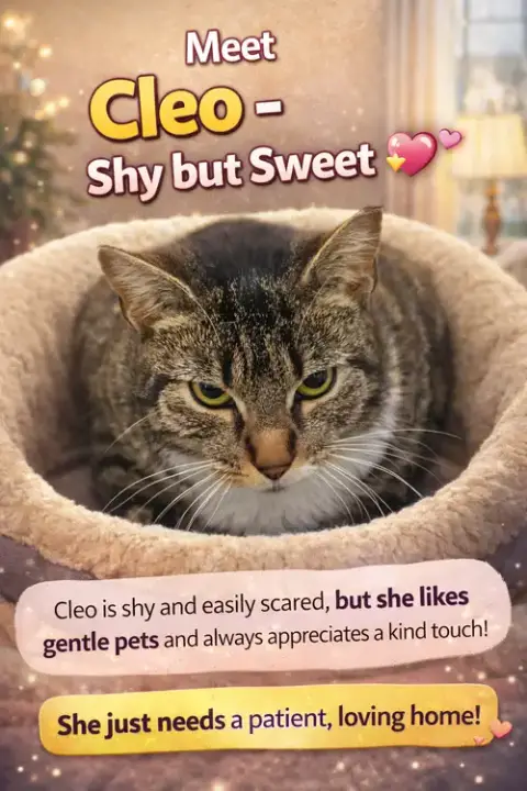 Cleo