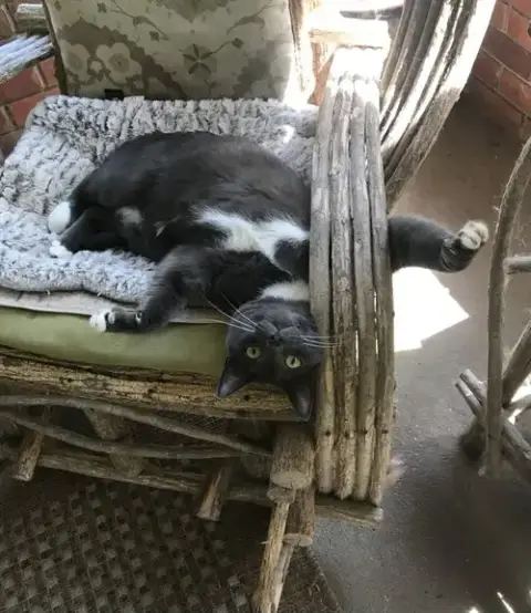 Buddy