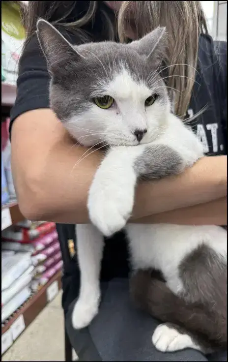 Smudge