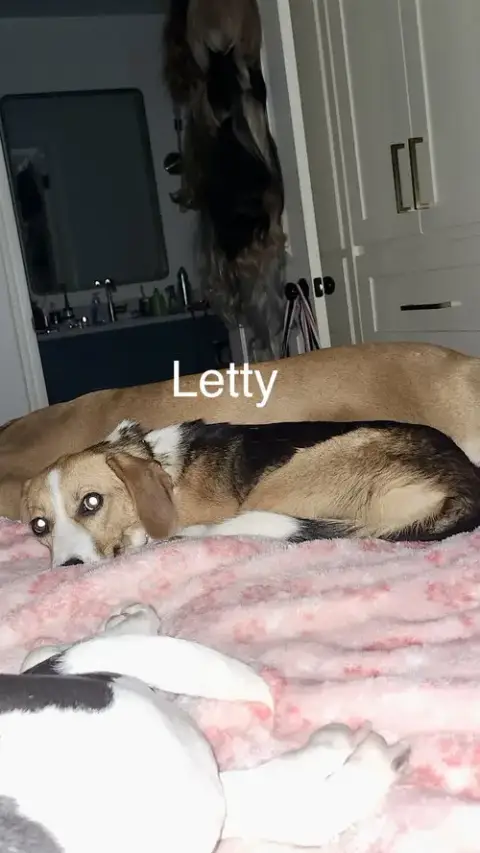 Letty Bea photo 2