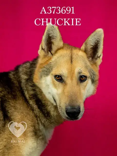 Chuckie