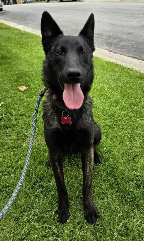 Ripley photo 4