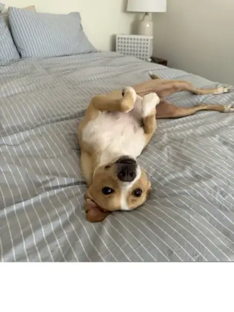 Milo