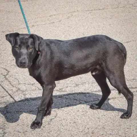 Walter photo 3