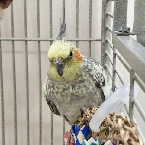 Rosalind Franklin photo 2