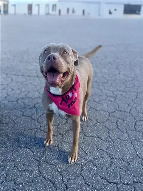 Mable