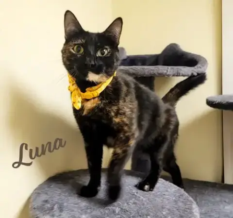 Luna #Full-Of-Surprises