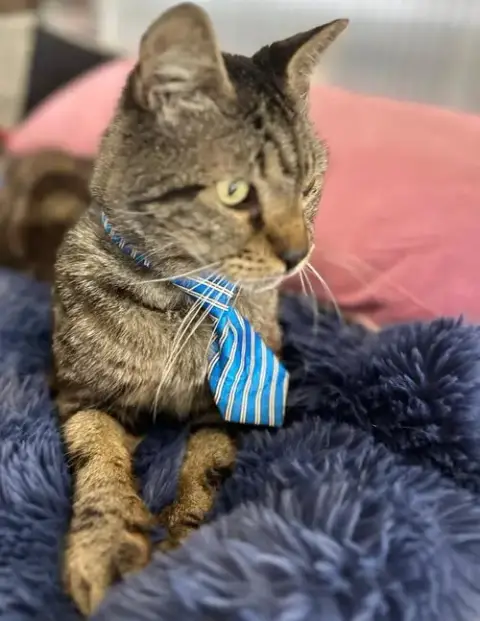 Victor