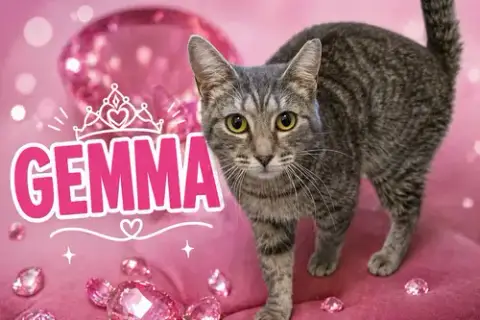 Gemma
