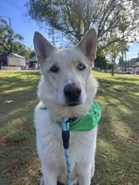 Max