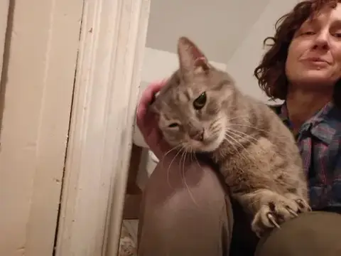Snuggs