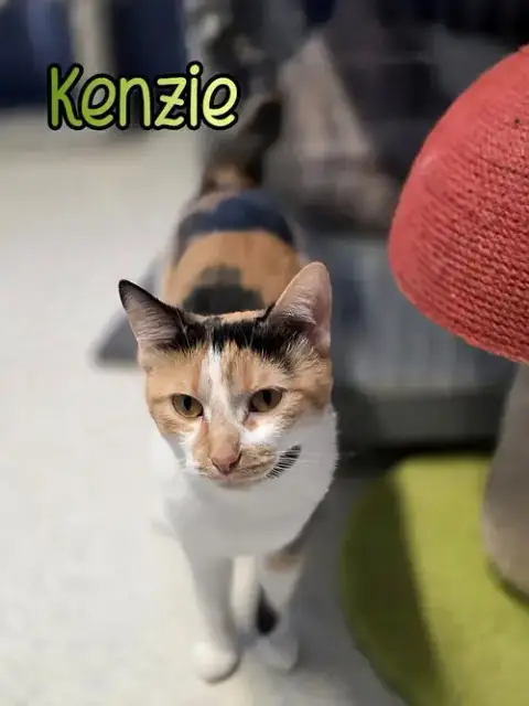 Kenzie photo 2