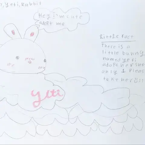 Yeti photo 3