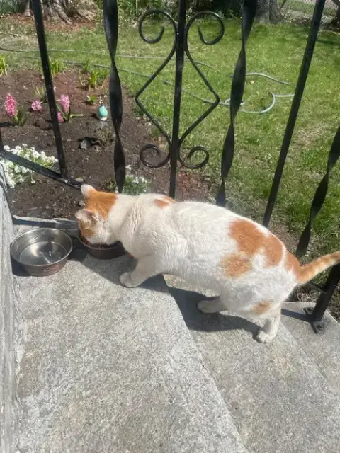 Titus photo 3
