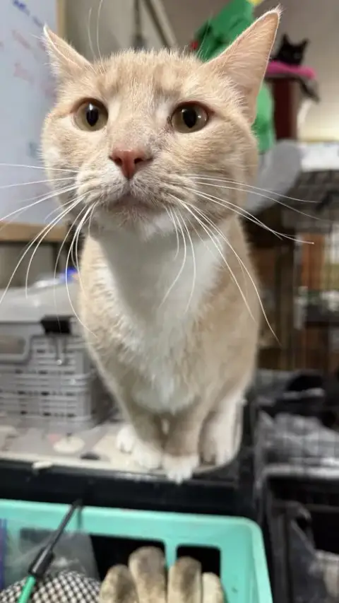 Rita