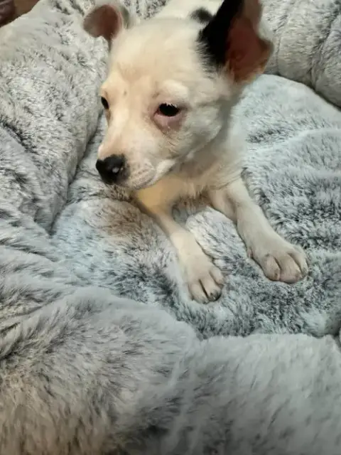 Penelope photo 2