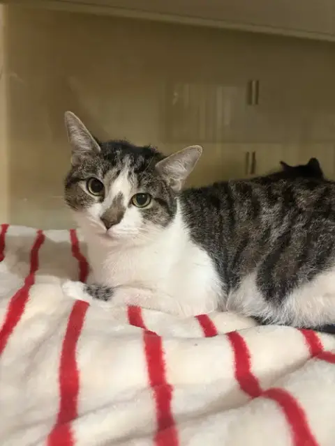 Mia