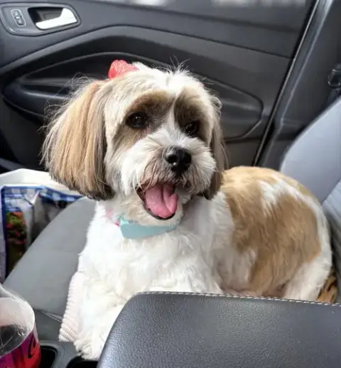 Maggie