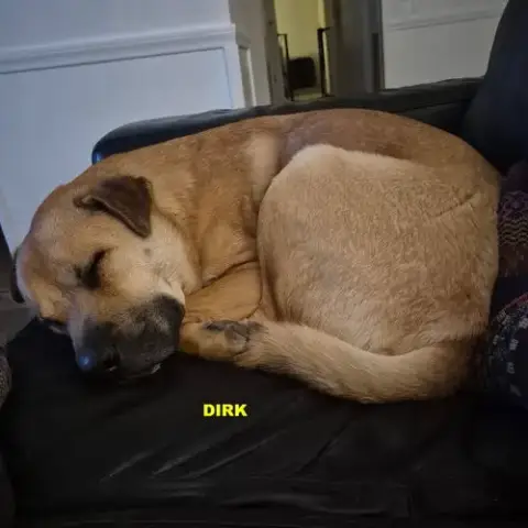 Dirk photo 4