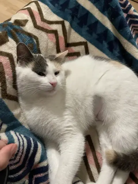 Maggie