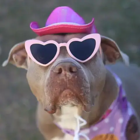 Cookie Maria