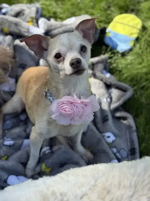 Ethel photo 3