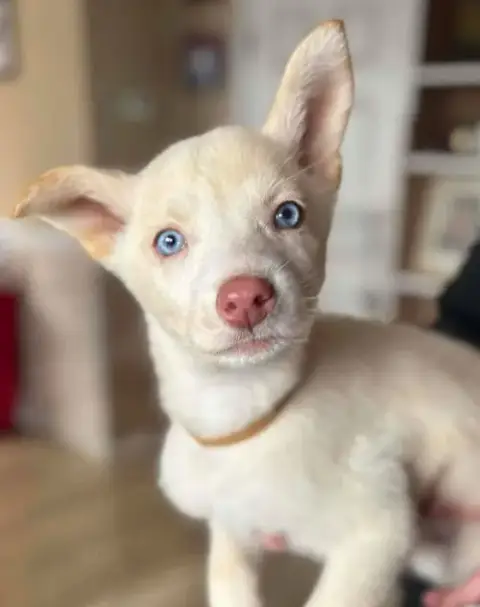 Mr. Miyagi