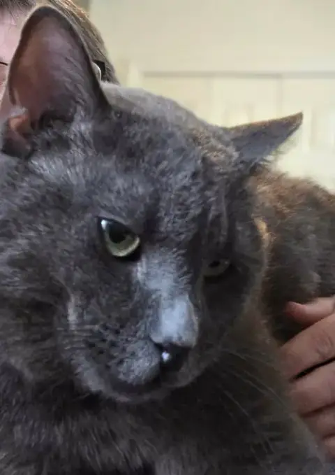 Toby photo 3