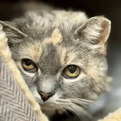Grace photo 4