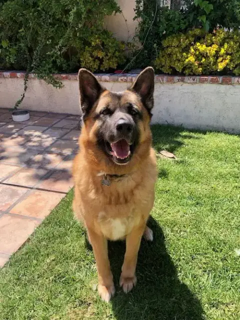 Luna