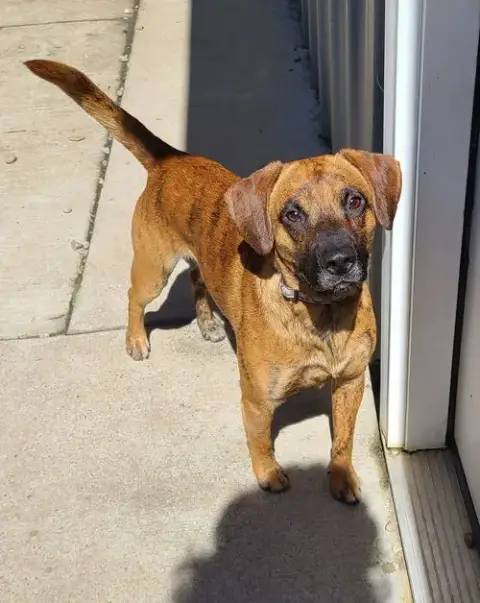 Odin photo 2