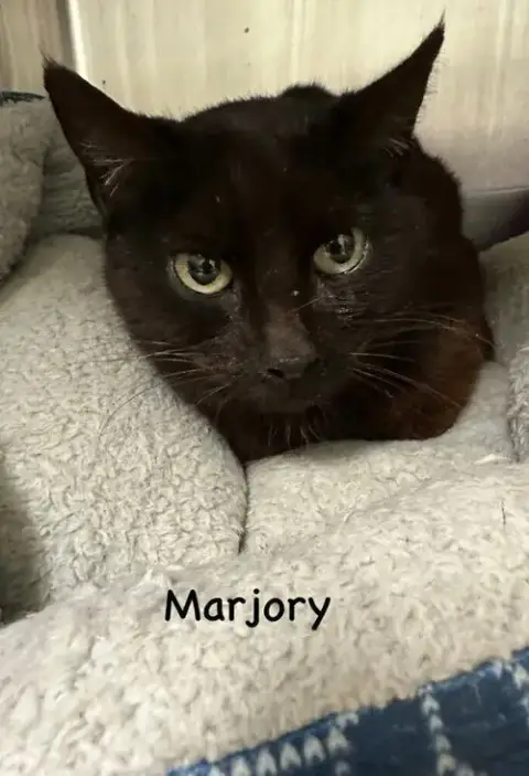 Marjory photo 2