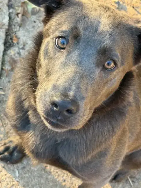 Nora