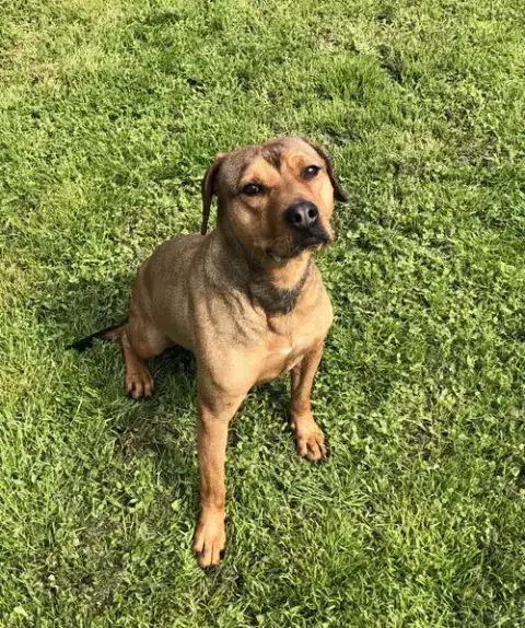 Teagan photo 2