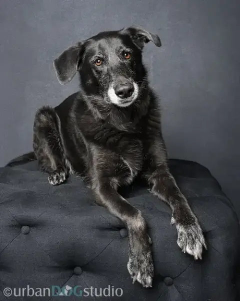 Ursa photo 2
