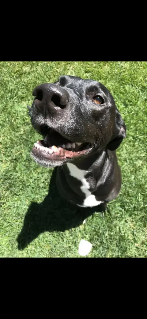 Annie